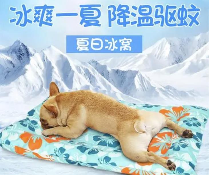 宠物凉垫火到欧洲！速卖通发布欧洲8月市场机会洞察