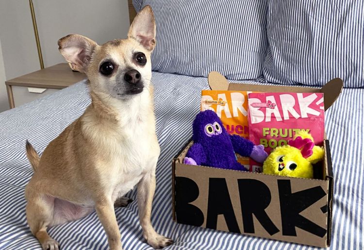 宠物之家Bark Box宠物盲盒留存率95%?