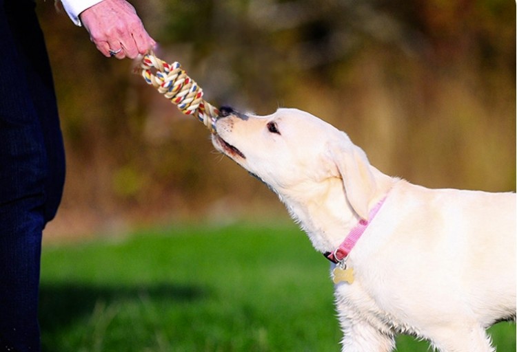 cotton rope.jpg