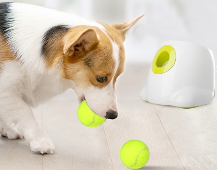 ball.jpg