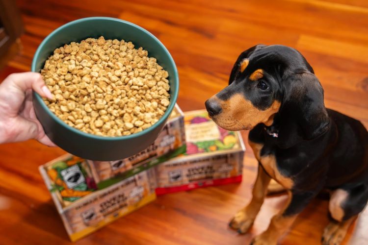 Baked kibble.jpg